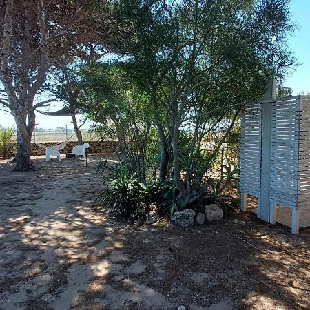 Villa Punta Lunga 法维尼亚纳 外观 照片